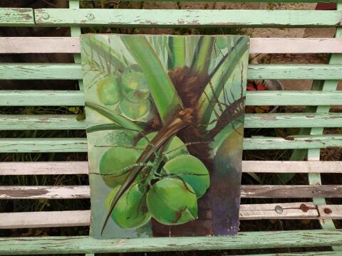 Tableau Fruits de Cocotier Noix de Coco Vertes 1 Loches (37)