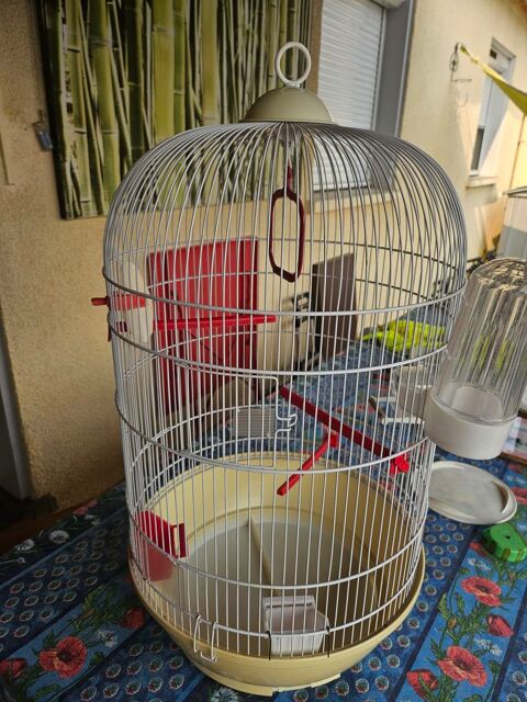 Cage oiseaux 25 66430 Bompas