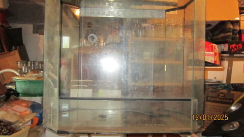 terrarium + accessoires 90 85800 Le fenouiller