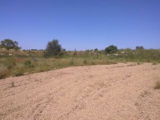  Terrain  louer 300 m