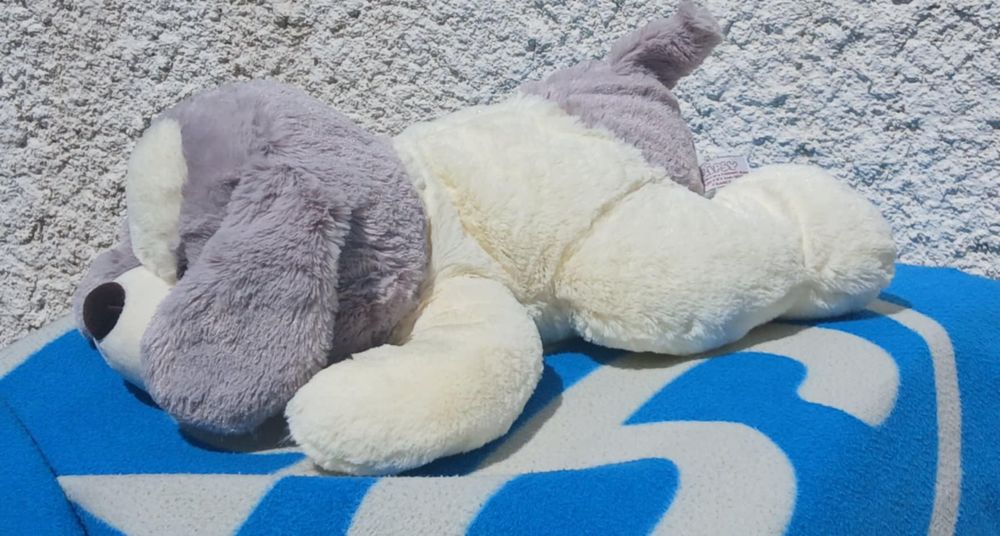 Peluche Chien Allong&eacute; de 42 cm de Long Jeux / jouets