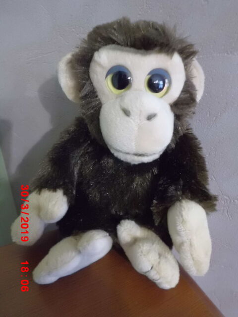 SINGE WILD REPUBLIC 15 Oignies (62)