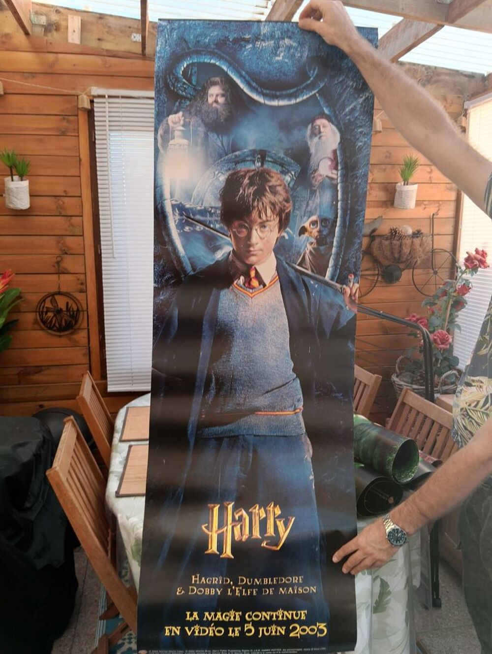 affiche Harry Potter 
