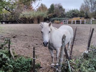  Terrain � louer 45 m�