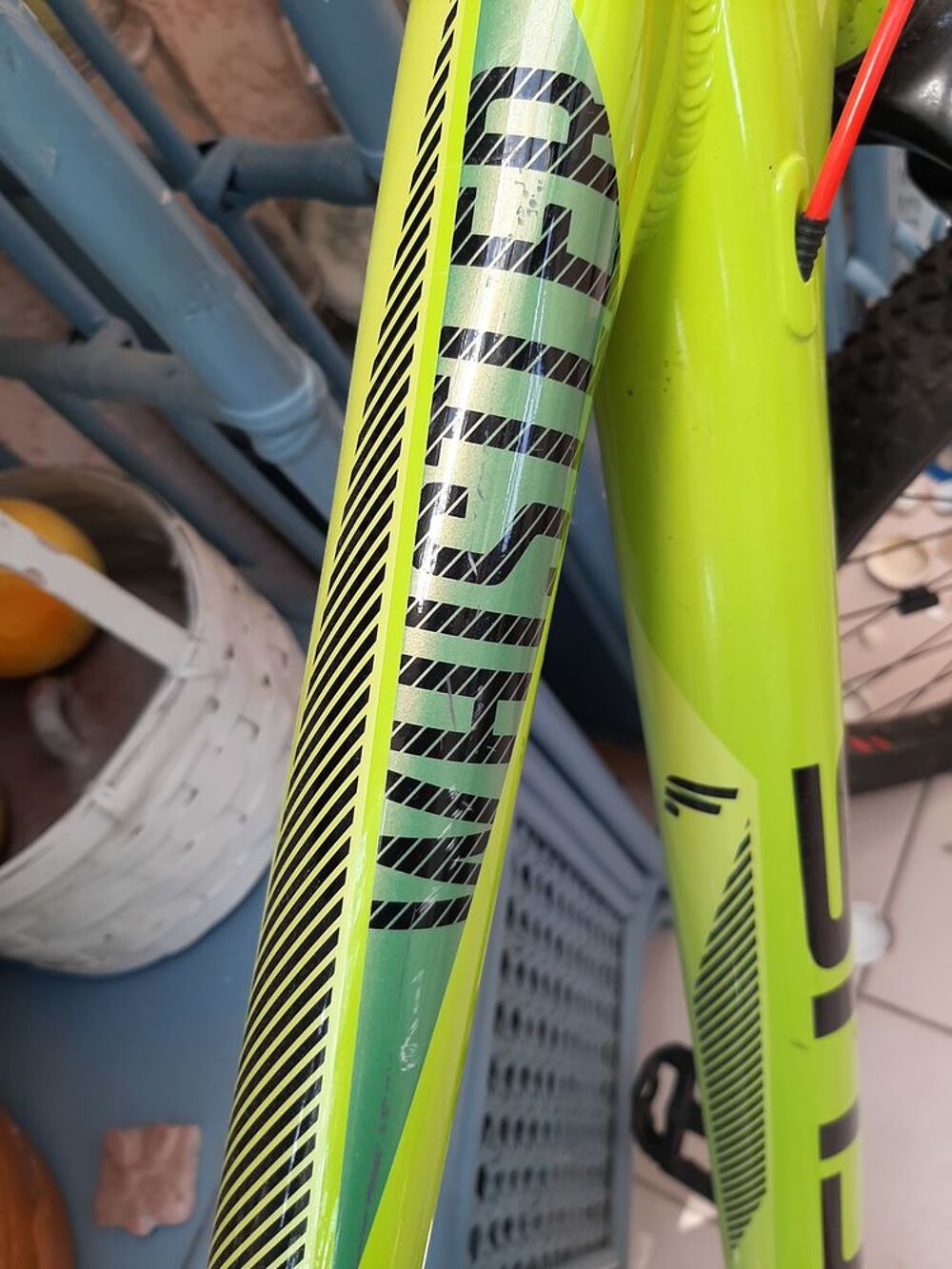 Vtt focus whistler sales