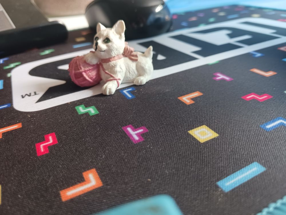 chat et sa pelote de laine rose 