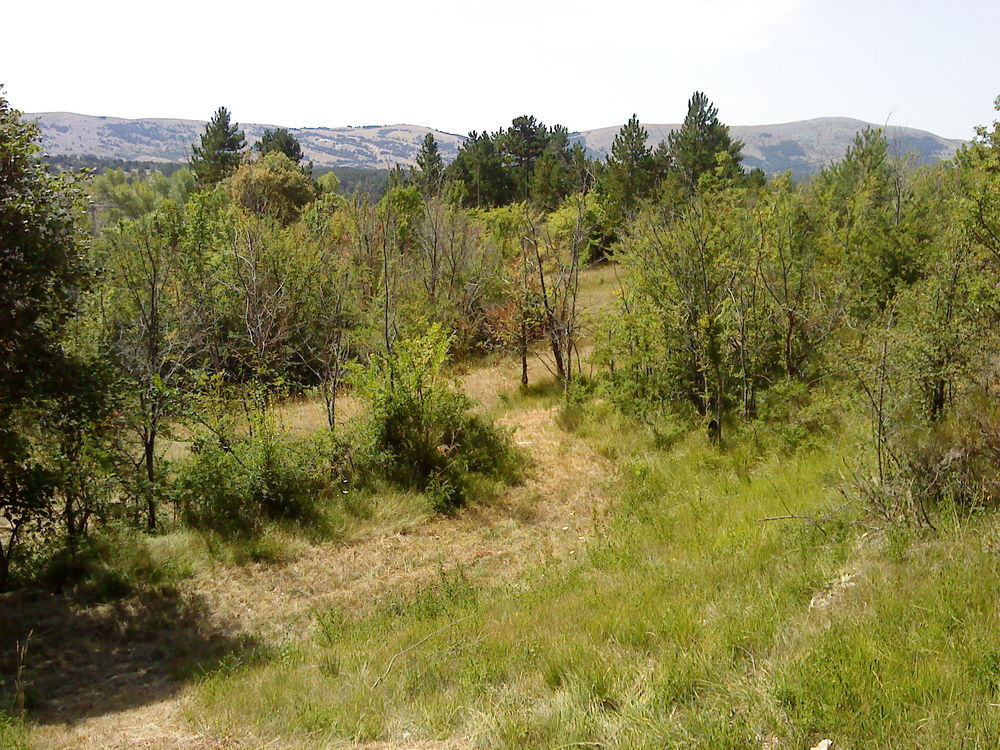 Vente Terrain Terrain non constructible à Caussols (06) Caussols