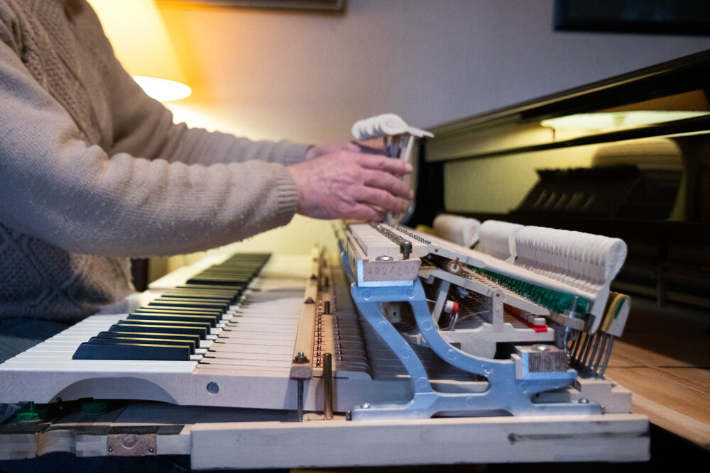 B&ouml;sendorfer Instruments de musique