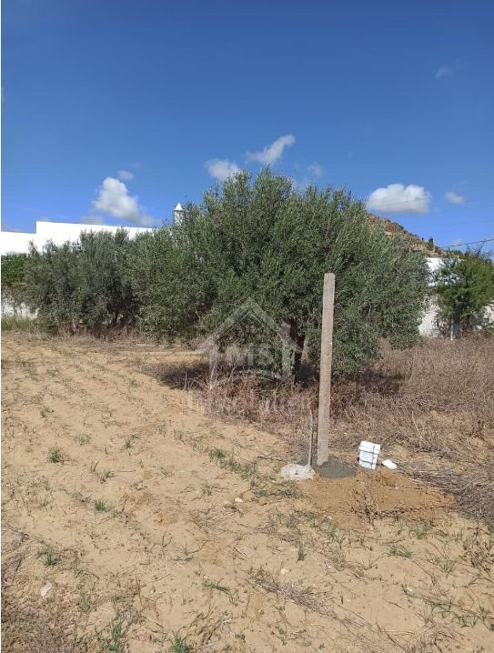 Vente Terrain Terrain de 300 m² à Hammamet Sud 51355351 Hammamet sud, tunisia (Tunisie)