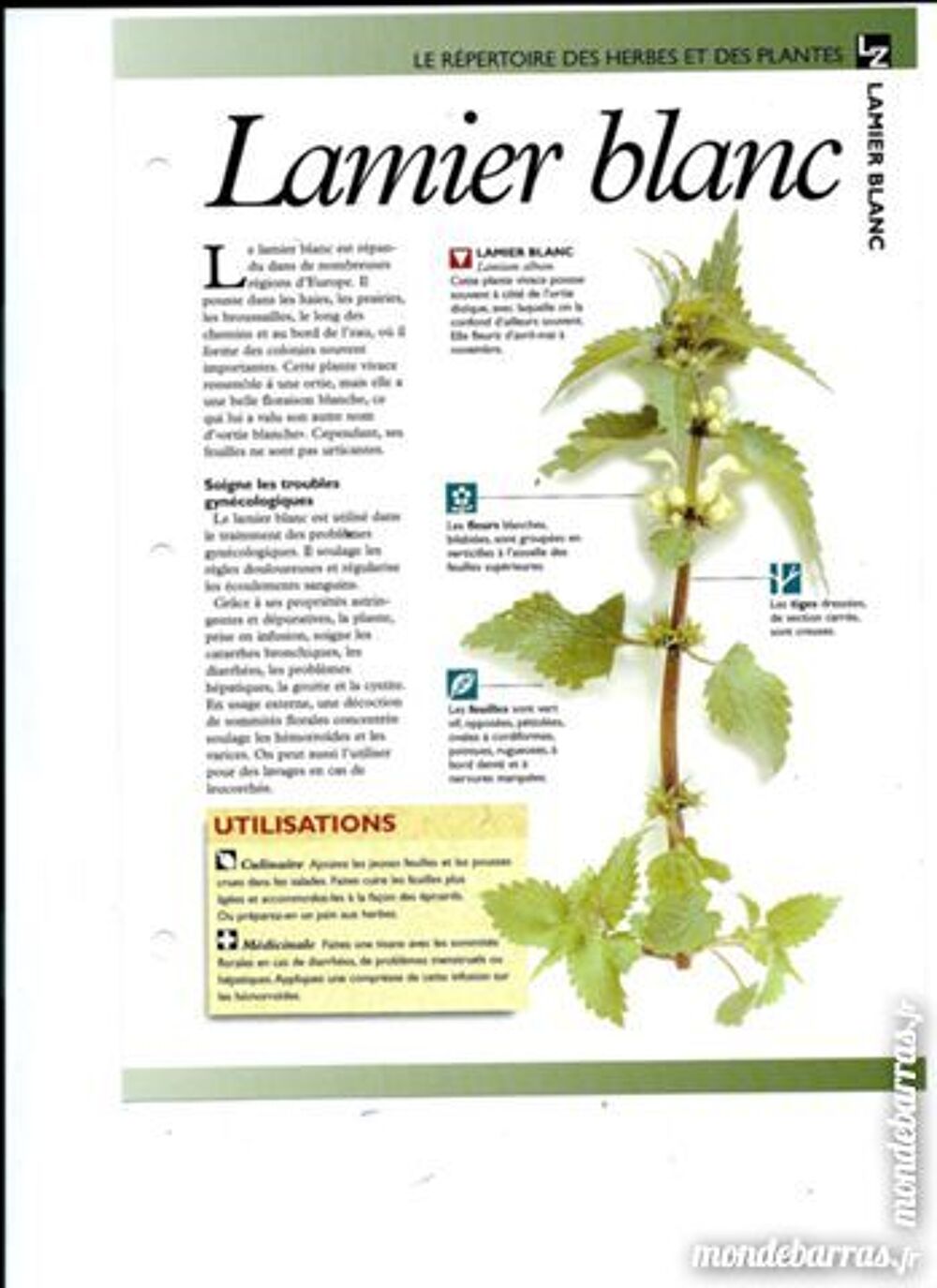 LE MONDE SECRET DES HERBES ET PLANTES Livres et BD