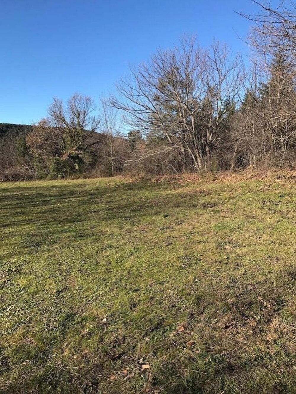 Vente Terrain Terrain forestier Vieussan