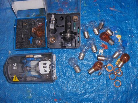 Lot d'ampoules diverses de véhicules automobiles 25 Sauchy-Cauchy (62)