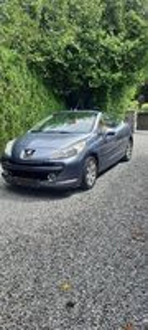 207 CC 1.6 VTi 16V 120ch Feline 2008 occasion 59300 Valenciennes