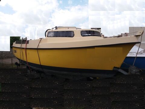 Bateaux à moteur Pêche-promenade 1980 occasion Rugles 27250