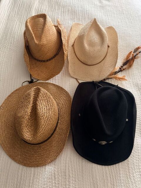 chapeaux country Pau (64)