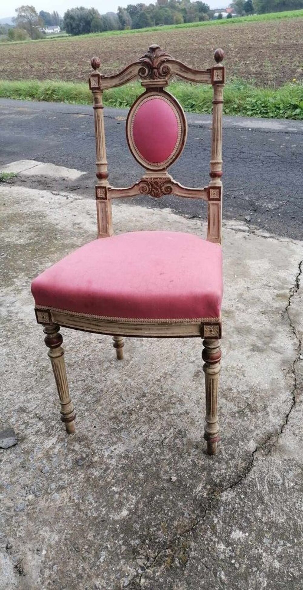 2 belles chaises style louis philippe &agrave; dossier ovale Meubles