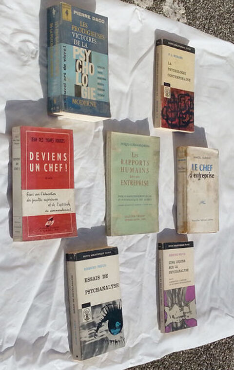 7 livres pour chefs d'entreprises (et pour les futurs) Saint-Clair-sur-Galaure (38)