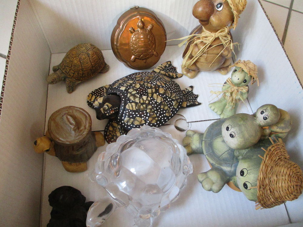 Collection de tortues 