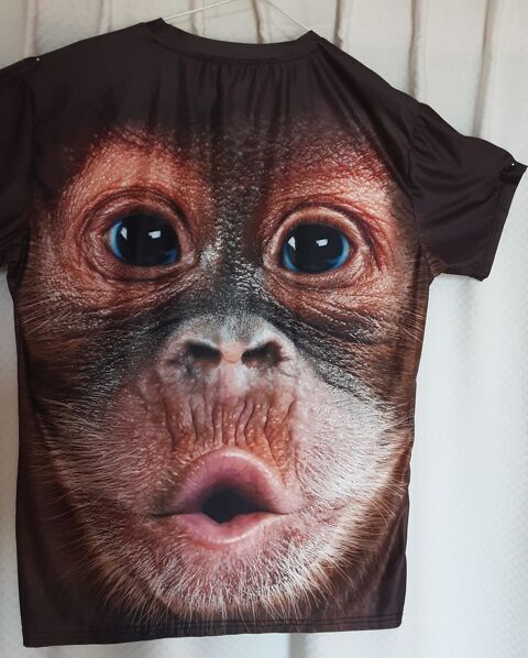 T-SHIRT humoristique T44 manches courtes      CHIMPANZ� �ton 6 Pontoise (95)