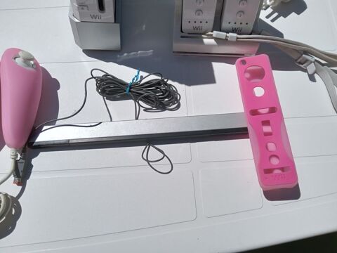 Console nintendogs pink 100 Combas (30)