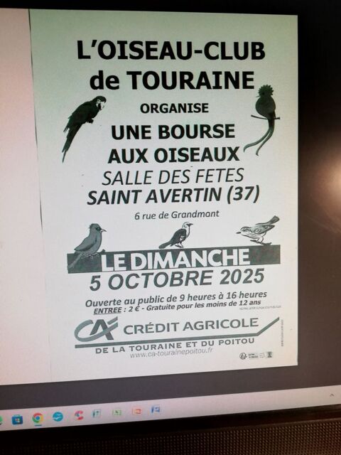 bourse aux oiseaux 0 37550 Saint-avertin