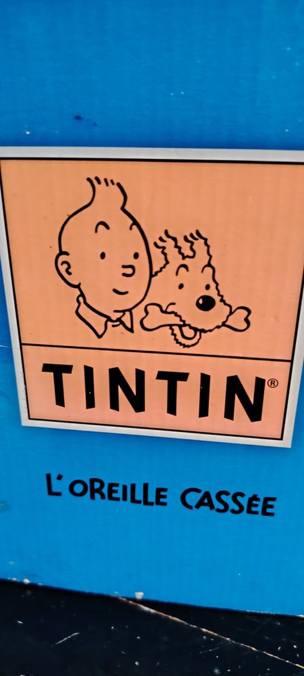 Pirogue Tintin 