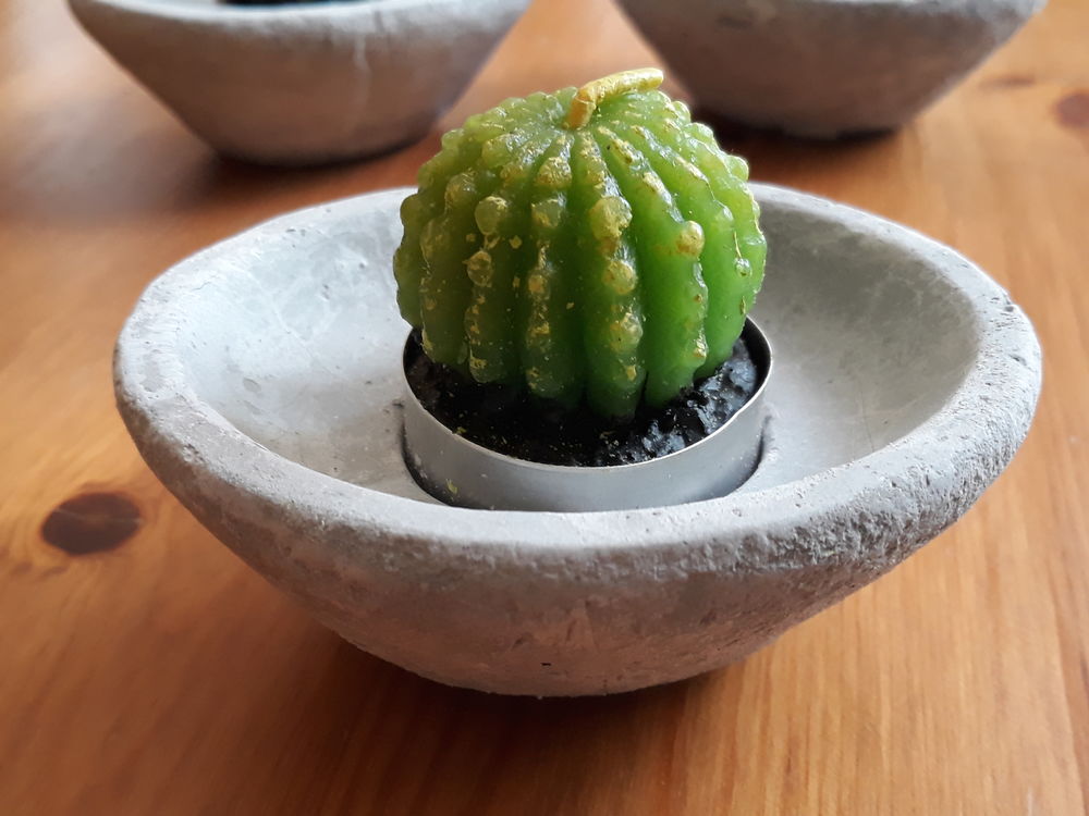 Lot de 3 bougies cactus sur socle - NEUF ( 3 bougies en cad Décoration