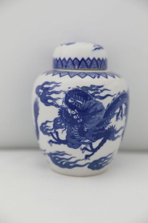 POT COUVERT DRAGON BLEU FONCE  50 Saint-�tienne (42)