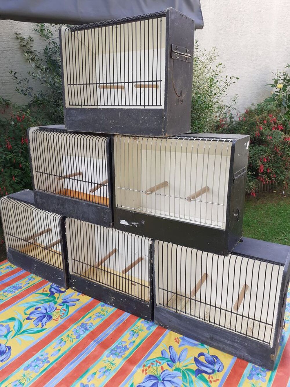   Cage d'exposition 