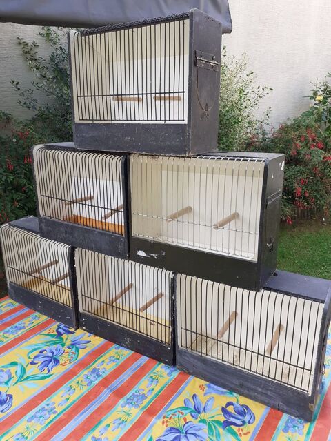 Cage d'exposition 70 33670 Cr�on