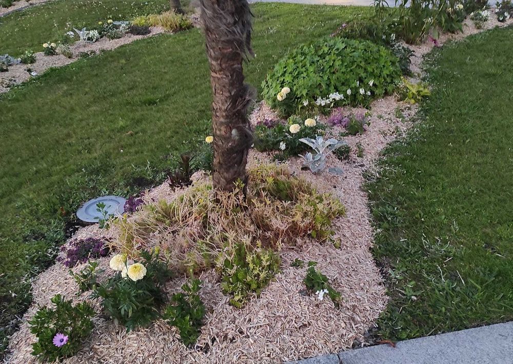 paillage jardin Jardin