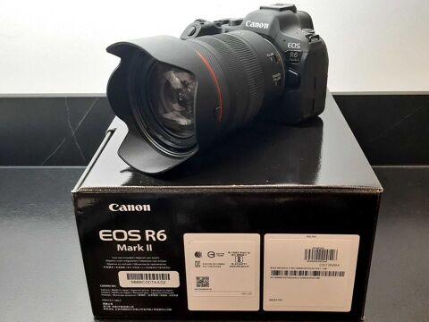 Canon EOS R6 Mark II 1450 Blacourt (60)