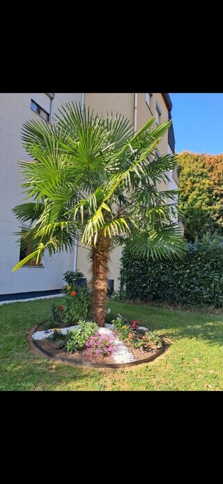  Appartement � vendre 3 pi�ces 90 m�