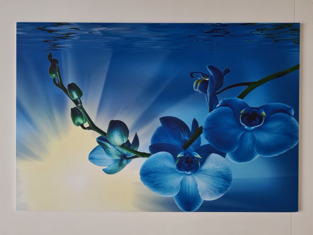  tableau repr&eacute;sentant une branche d'orchid&eacute;e.
Décoration