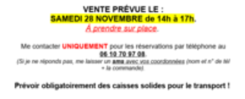   Poules pondeuses 