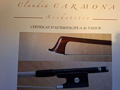 archet violon 5500 Nantes (44)