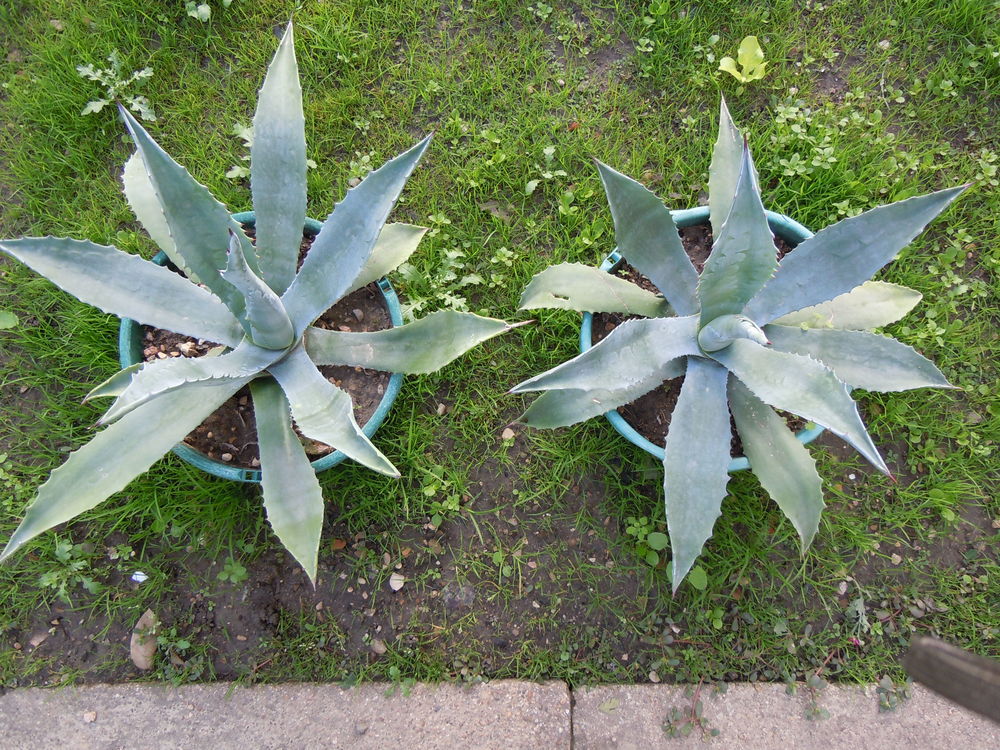 une centaine d objets anciens . je vide ma maison..... D�coration