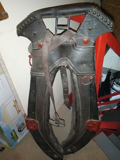 HARNAIS OU COLLIER 20 Pontivy (56)