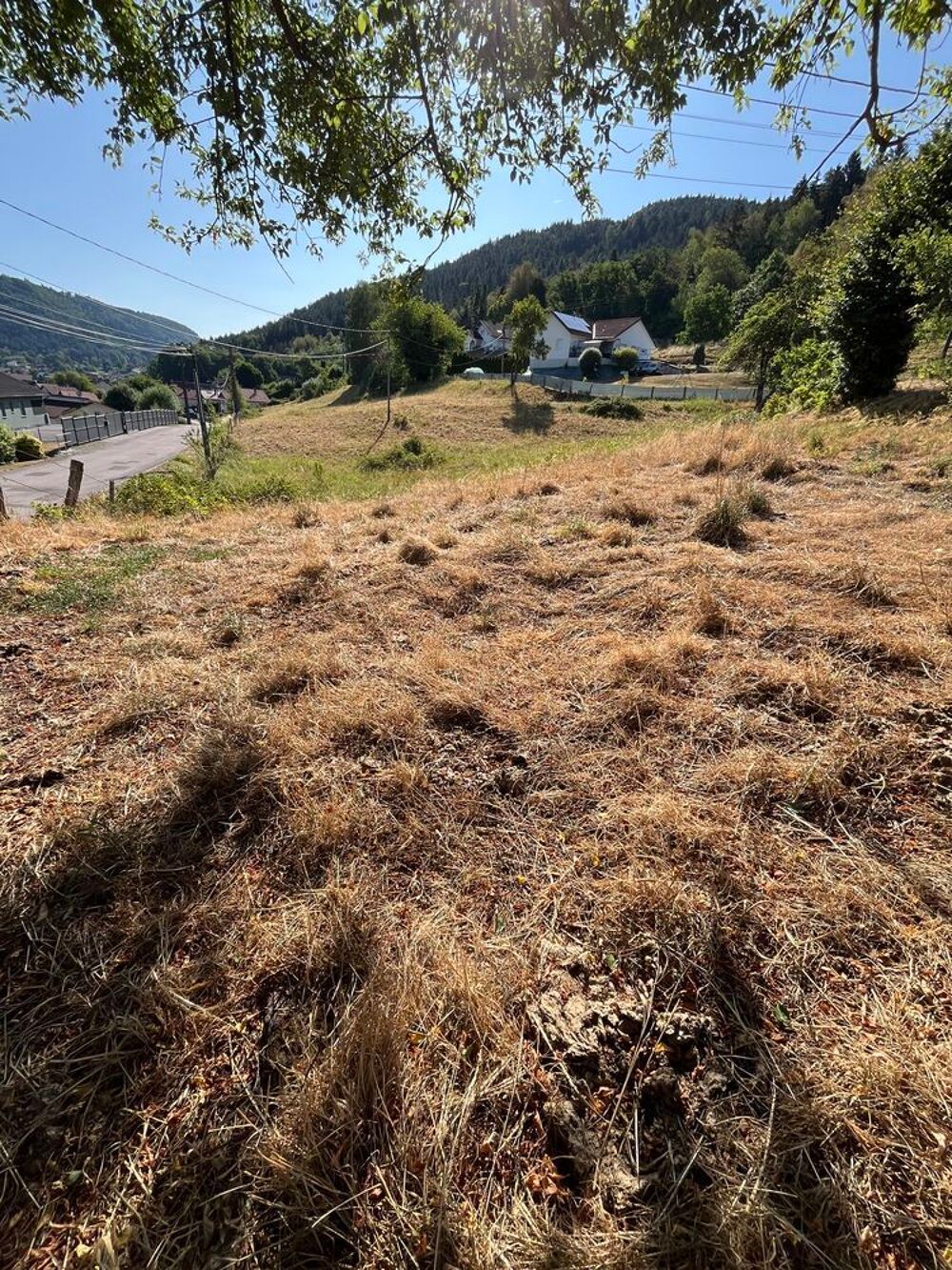 Vente Terrain Terrains Dommartin-lès-remiremont
