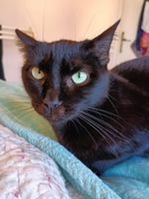   AGATHA 