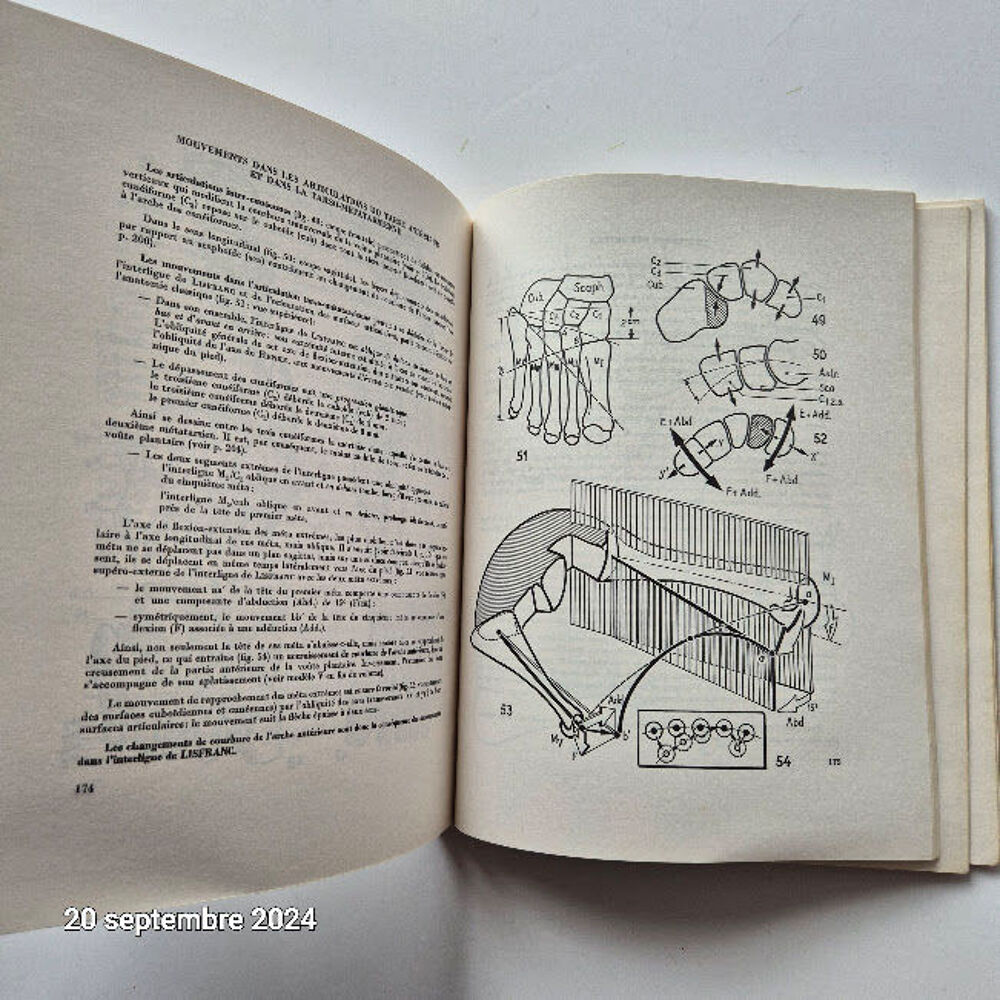 Physiologie articulaire, sch&eacute;mas comment&eacute;s de la m&eacute;canique h Livres et BD
