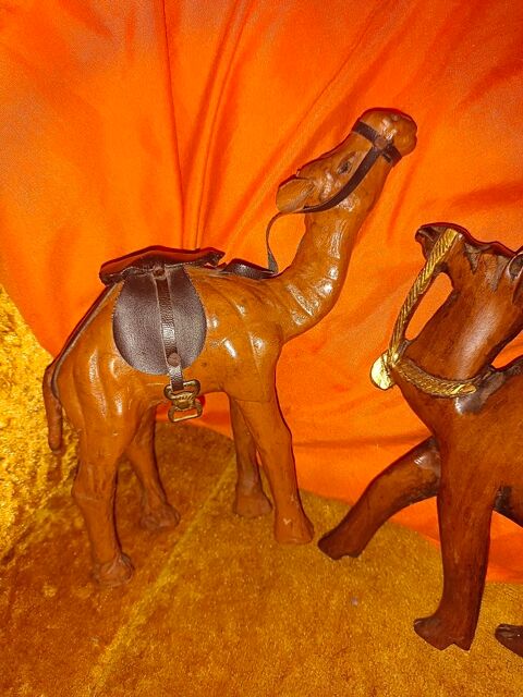 3 petits chameaux 3 Besan�on (25)