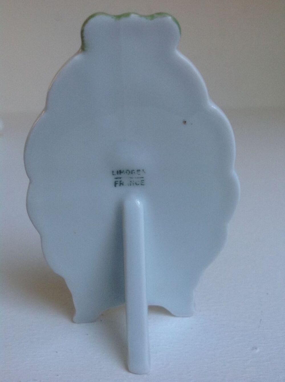 PEINTURE D'UN PERROQUET SUR PORCELAINE LIMOGES Envoi Possibl Décoration