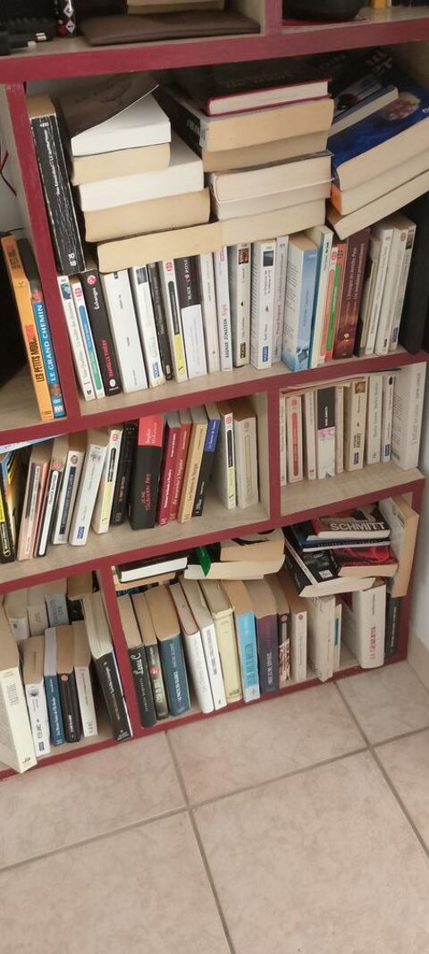 50 livres Larmor-Baden (56)
