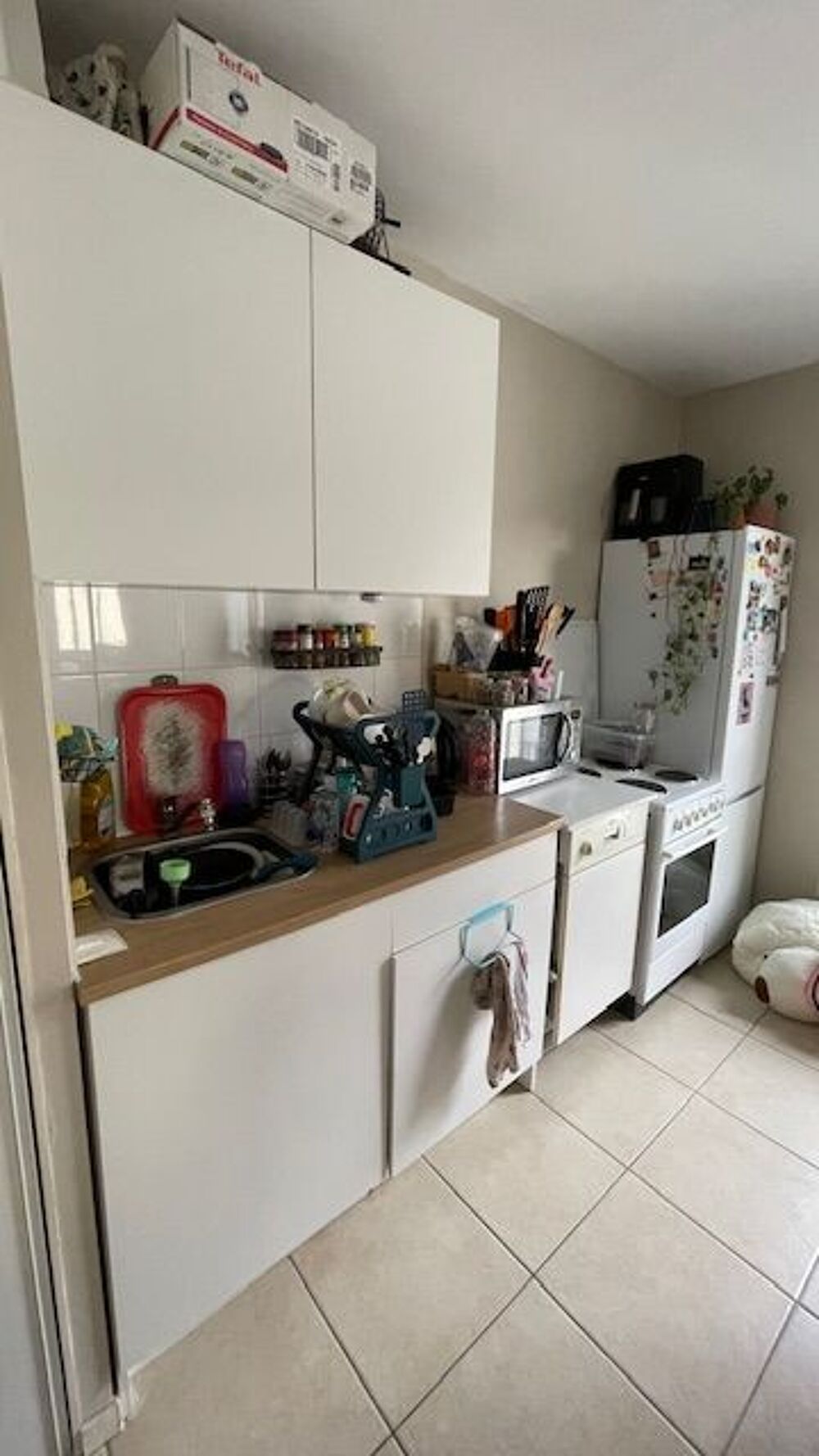 Vente Appartement Beau T1 29,38 m²+6m² loggia résidence arborée Trion Lyon 5e Lyon 5