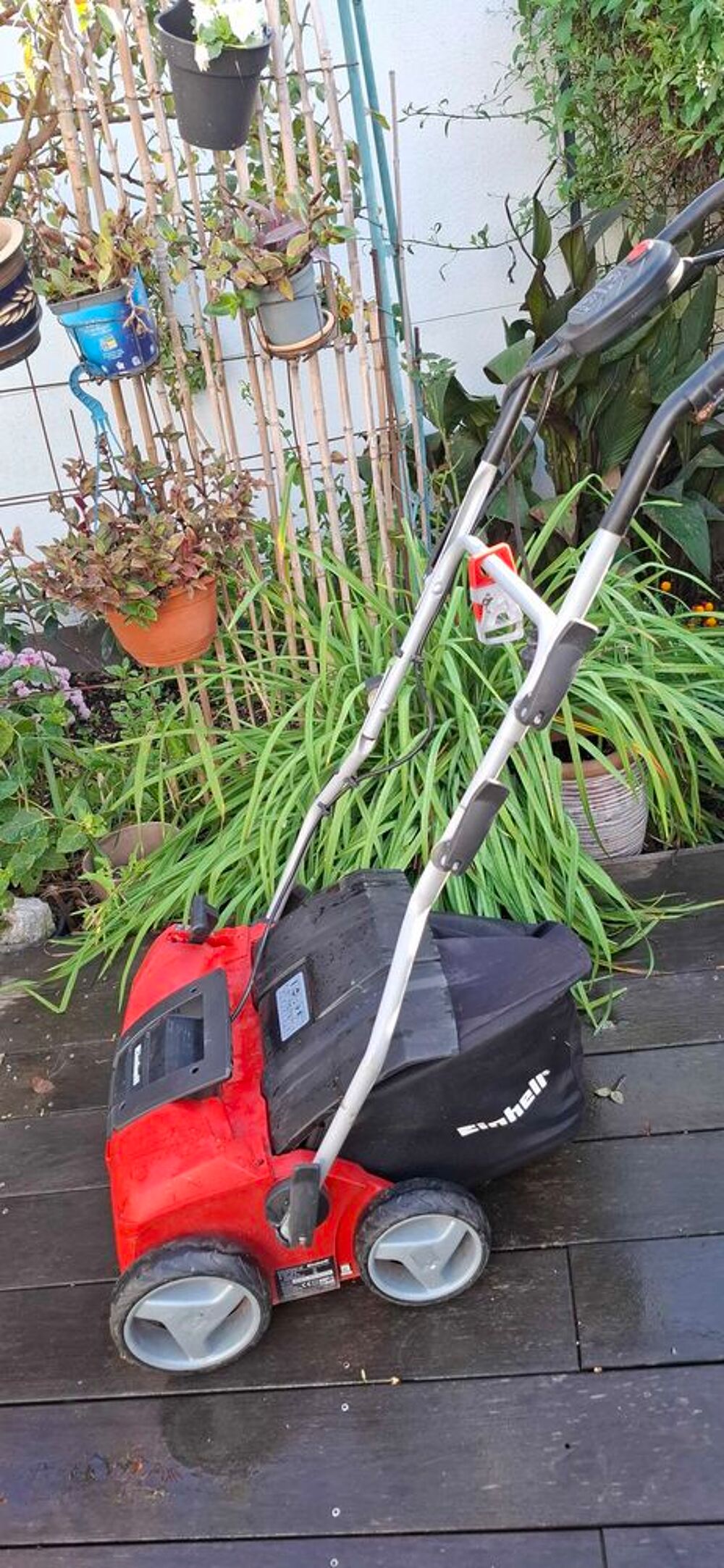 statificateur demousseur Jardin