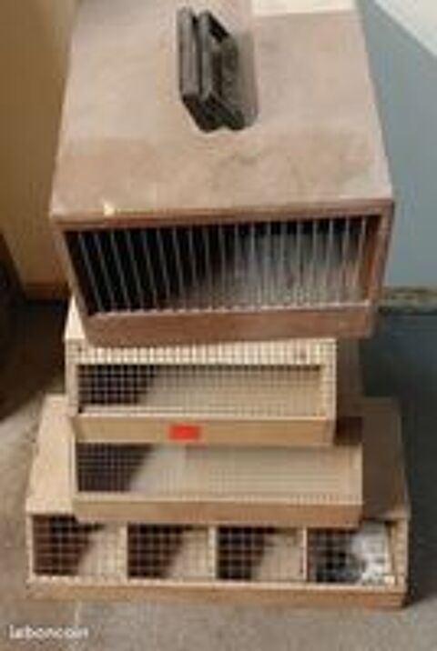   Cageots de transports pour oiseaux 