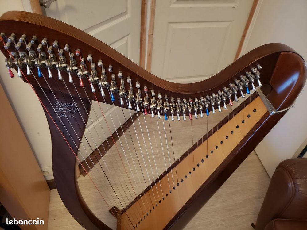 Harpe celtique Camac Hermine 38 cordes Instruments de musique