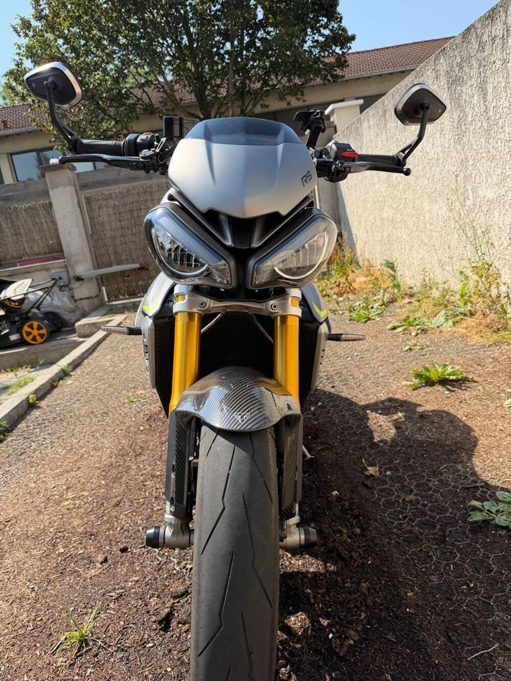 TRIUMPH 2022 occasion 94400 Vitry-sur-Seine