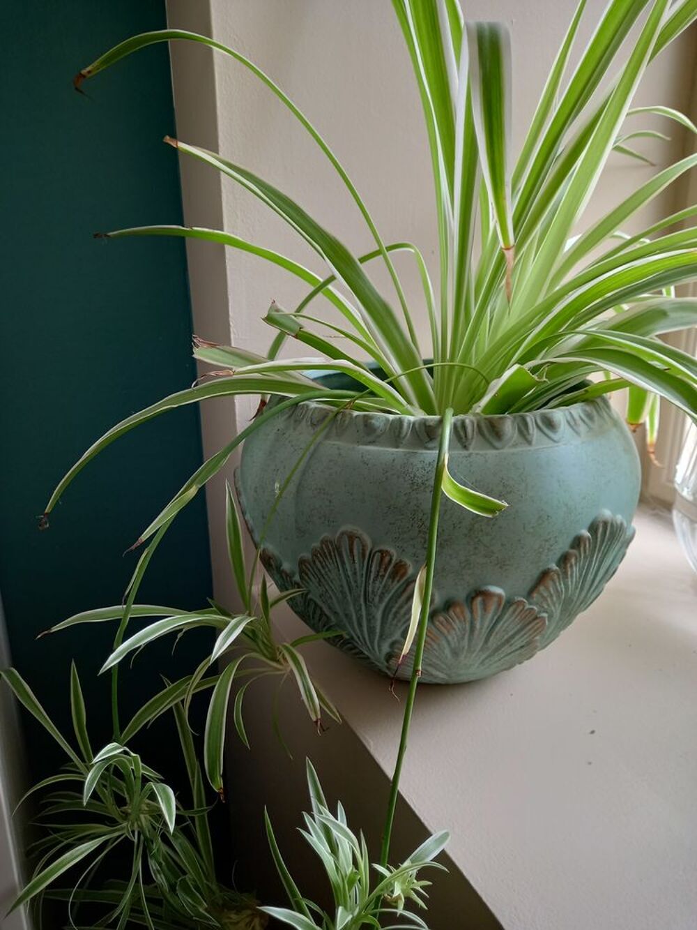 Colonne+vase+cache pot assortis Décoration